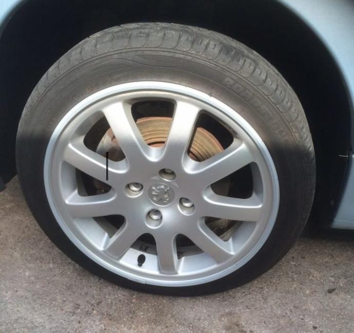 Peugeot 206 - AlloyGator Or