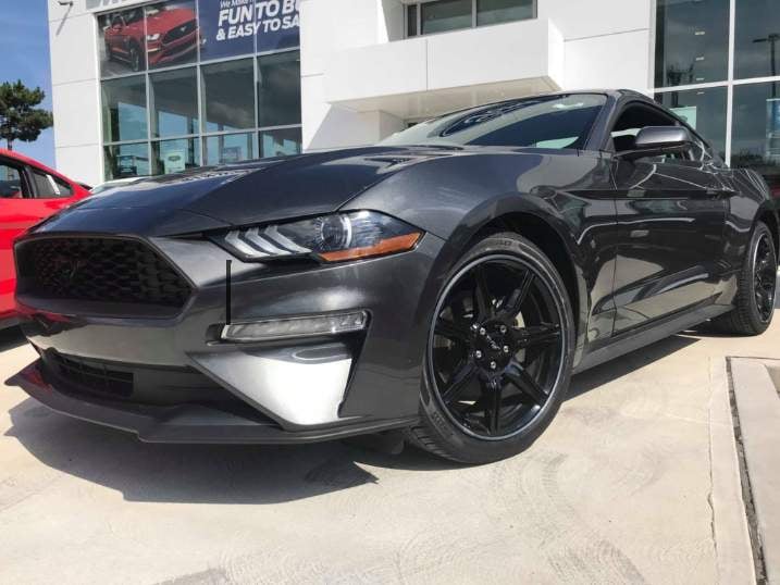Ford - AlloyGator Or