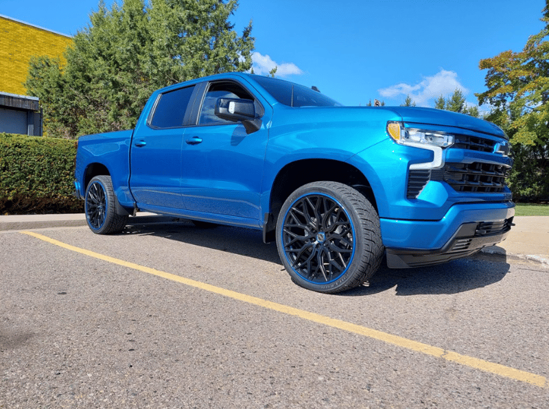 Divers - AlloyGator Bleu