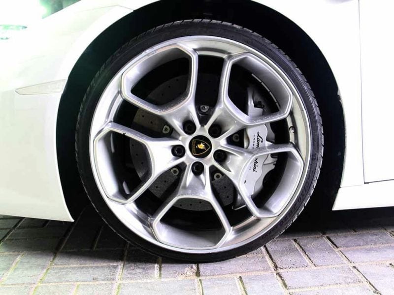 Lamborghini - AlloyGator Or